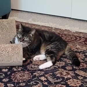 Meet your Posher, Ayla